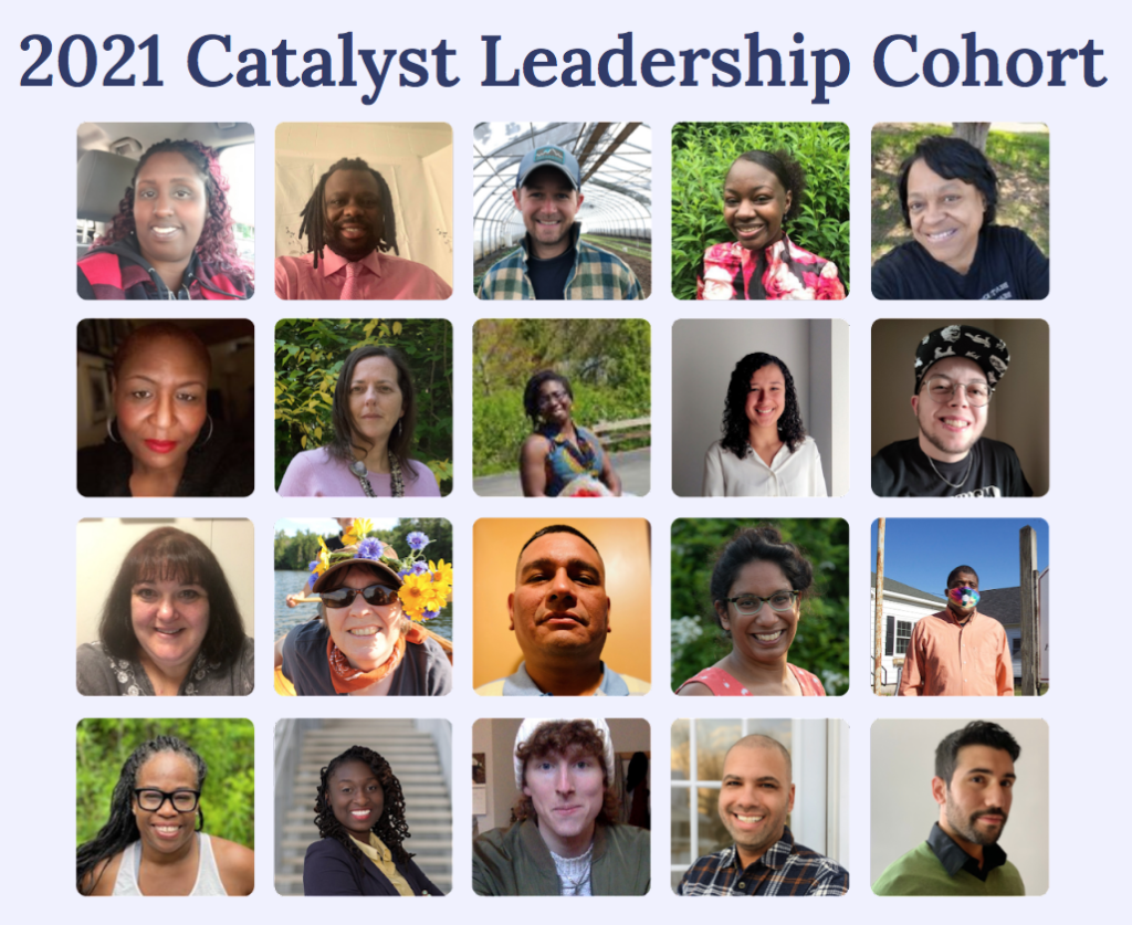 Catalyst Leadership – Rights & Democracy Institute